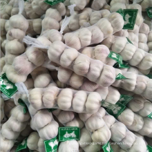 China normal white garlic 5P small pack, fresh garlic export new season 2021